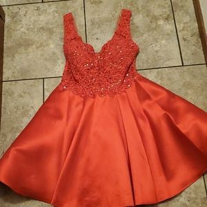 A Brand new red dress. Never warre.